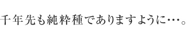 千年先も純粋種でありますように・・・。